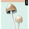 Not Specified A Falcon Field Guide: Mushrooms Books