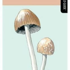 Not Specified A Falcon Field Guide: Mushrooms Books