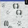 Not Specified Animal Tracks Books