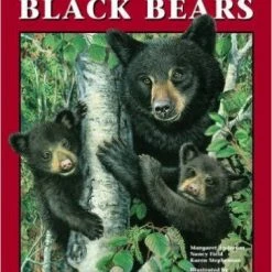 Not Specified Discovering Black Bears Books