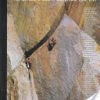 Not Specified Fifty Favorite Climbs: The Ultimate North American Tick List Books