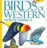 Partners West National Geographic Field Guide To Birds: Western North America