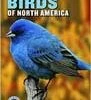 Partners West Books Field Guide To Birds Of North America
