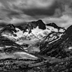 Henry Bommer Photography Northover Books