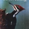 Not Specified Books Enjoying Woodpeckers More