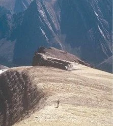 GoTrekkers BANFF NORTH YA HA TINDA NATIONAL PARK MAP Canadian Rockies