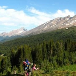 Go Trekkers Jasper And Area Hiking Map