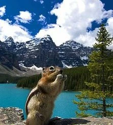 Go Trekkers Lake Louise & Area Hiking Map Books