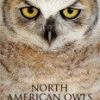 Partners West The Complete Book Of North American Owls