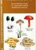 Partners West Books Pocket Naturalist: Mushrooms
