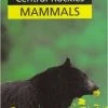 Not Specified Central Rockies Mammals