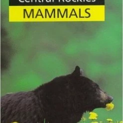 Not Specified Central Rockies Mammals